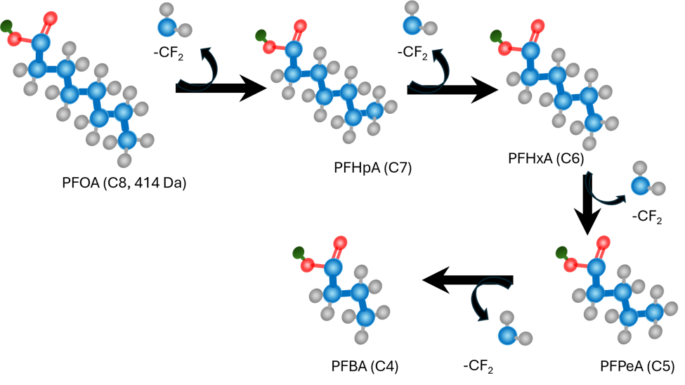 Stepwise decomposition products of PFOA into PFHpA, PFHxA, PFPeA, and PFBA