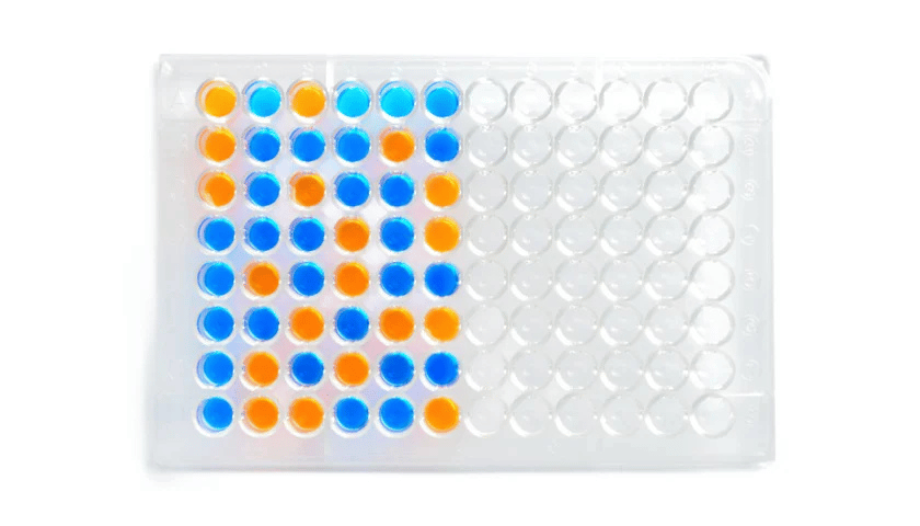 blue and orange liquids in tray 